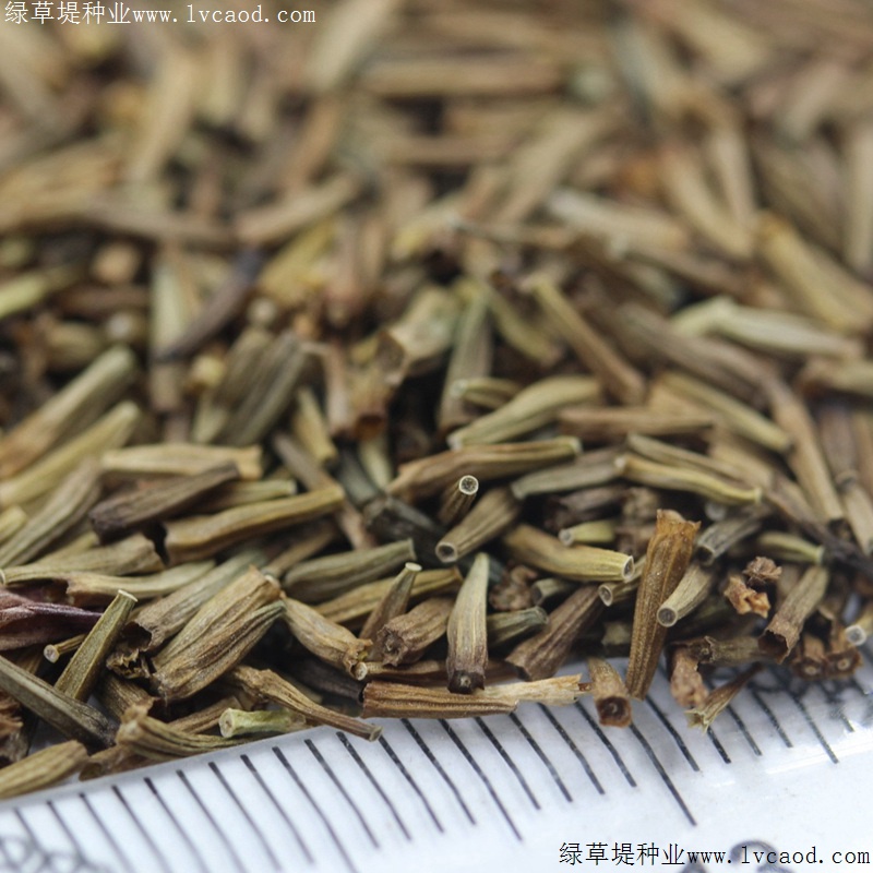 除蟲(chóng)菊 除蟲(chóng)菊