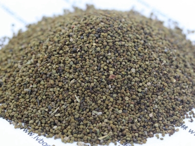 半枝蓮種子種植時間是什么時候？