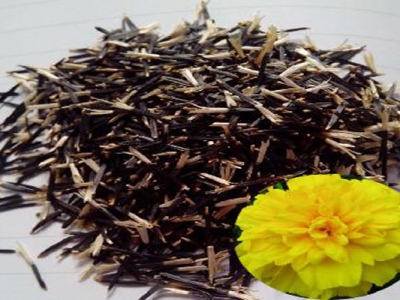 萬壽菊種子夏天能種嗎？